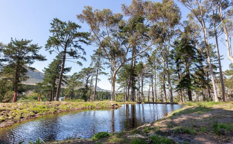 0 Bedroom Property for Sale in Noordhoek Western Cape